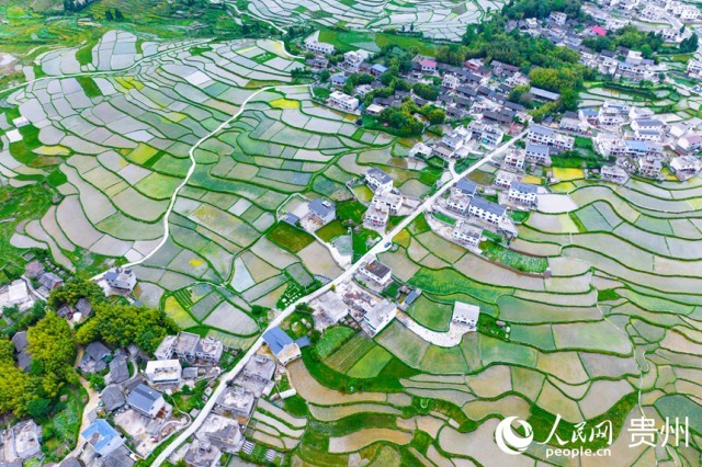 FлϪ^(q)W(wng)ӛ Ϳz